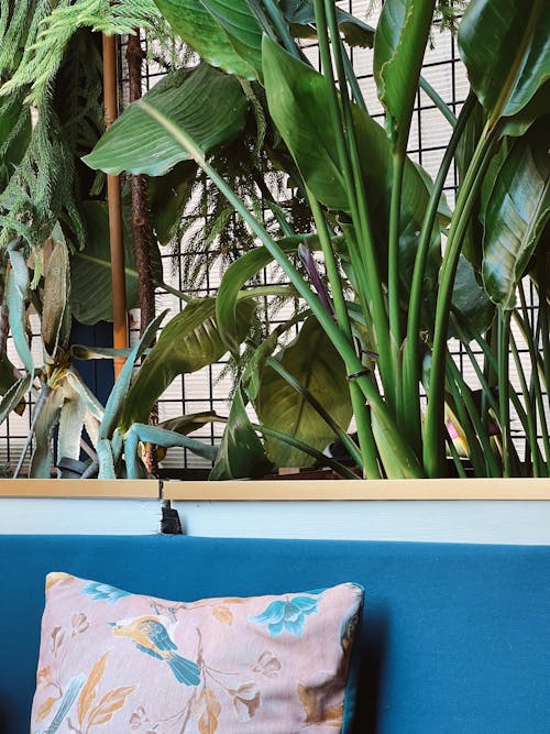 Shop for a Minimalist Living Room: The Essential Guide