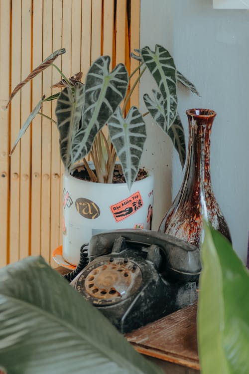 Minimalist Living Room Shopping Guide: Create Your Serene Space