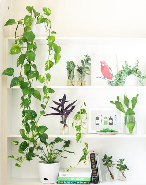 How to Create a Serene Minimalist Living Room