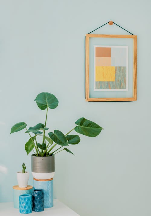 Minimalist Living Room: Your Guide to Creating a Calm Haven
