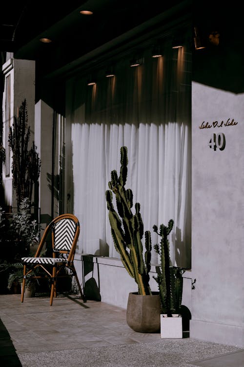 The Ultimate Guide to a Minimalist Living Room