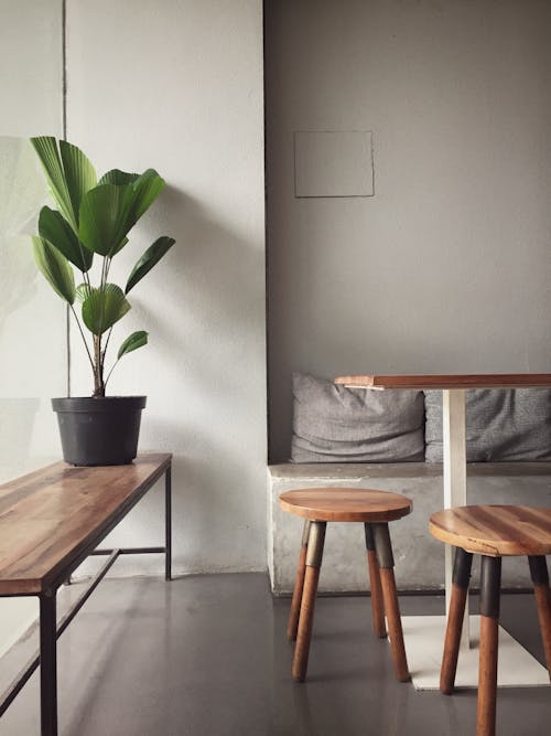 Seasonal Decor for Minimalist Living Rooms: Nature & Simple Touches