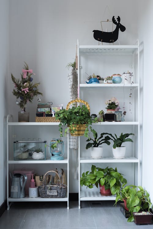 Minimalist Living Room Shopping Guide: Create a Serene & Uncluttered Space