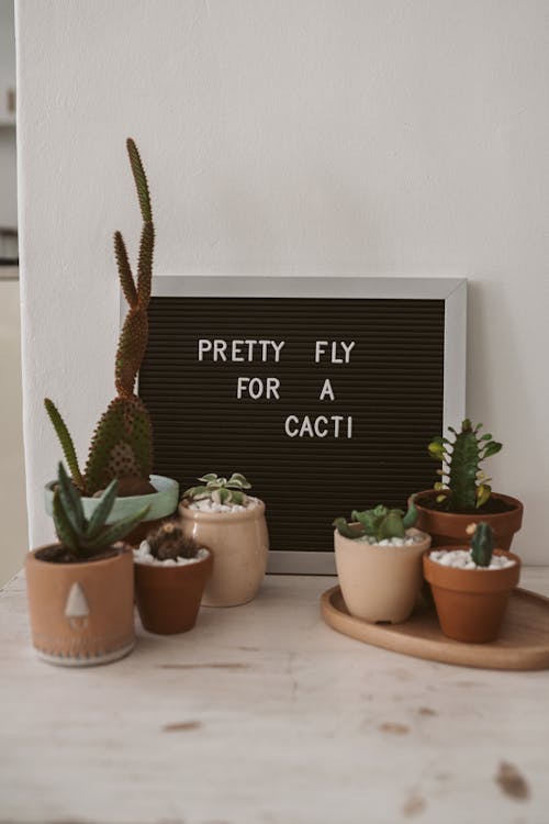 Dream Minimalist Living Room: Budget DIY & Affordable Decor Ideas