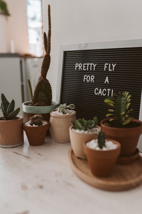DIY & Budget Tips for a Serene Minimalist Living Room
