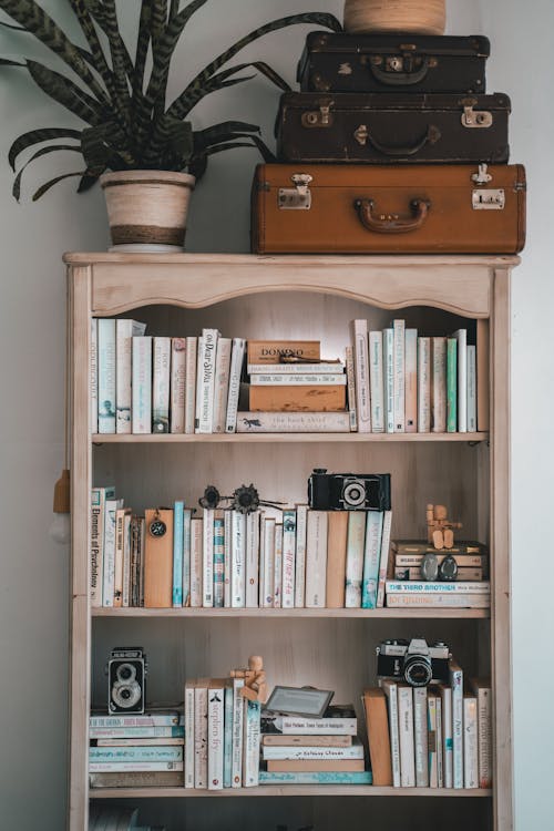 Budget Minimalist Living Room: DIY Decor & Style Tips