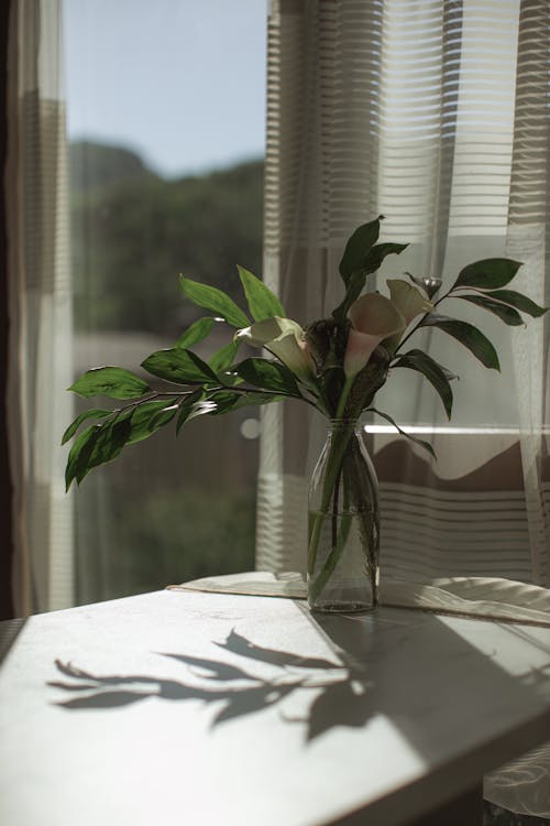 Minimalist Living Room Seasonal Decor: Charm Without Clutter