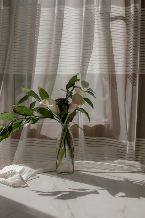 The Ultimate Shopping Guide for Your Minimalist Living Room