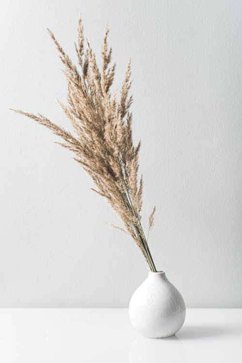 Create a Serene Minimalist Living Room in Your Small Space